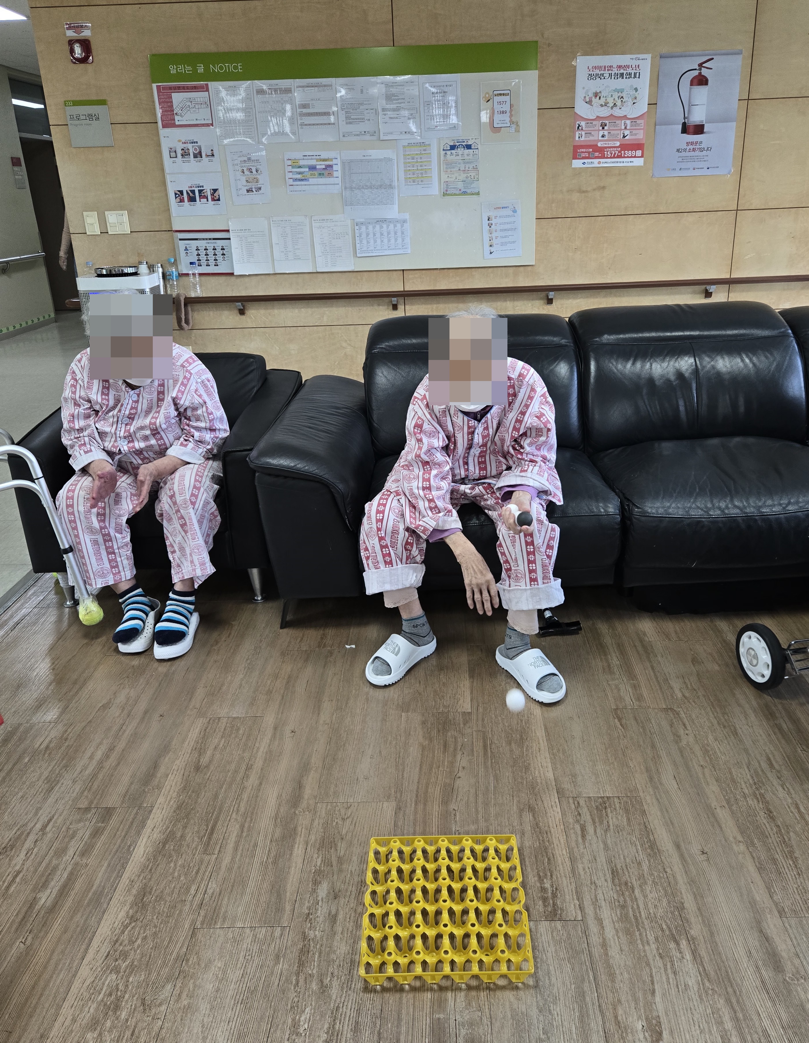 2025년 01월 프로그램(계란판 공던지기)